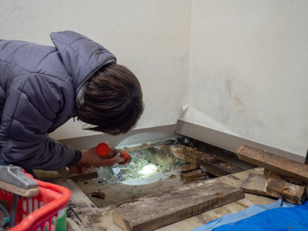 Best Mold Documentation for Insurance Claims  in Warrenton, OR