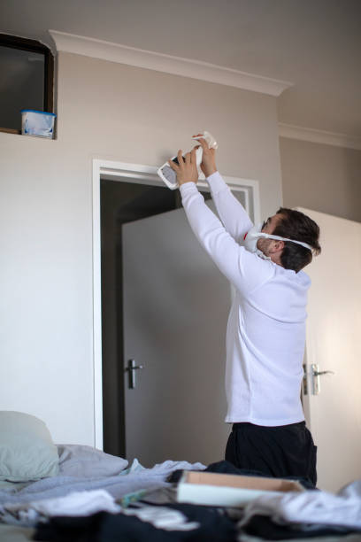 Best Industrial Mold Remediation  in Warrenton, OR